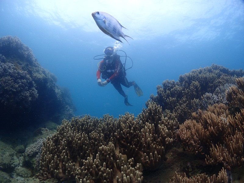 目前世界較大的潛水培訓(xùn)系統(tǒng)有哪些？