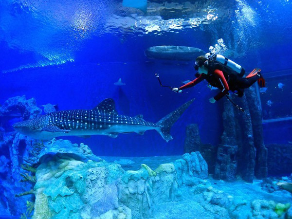 潛在水里，學(xué)做一條靜靜的魚(yú)