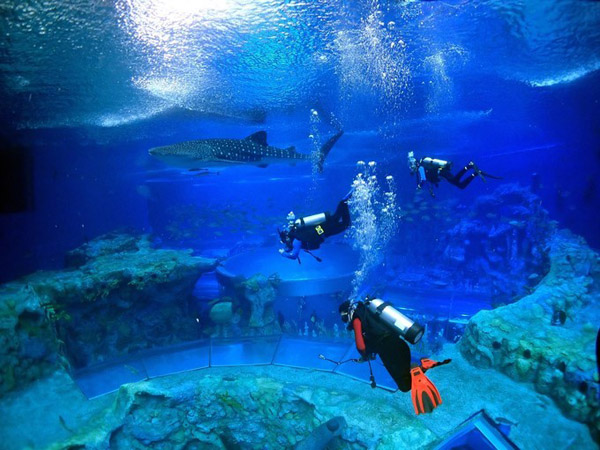 潛在水里，學(xué)做一條靜靜的魚(yú)