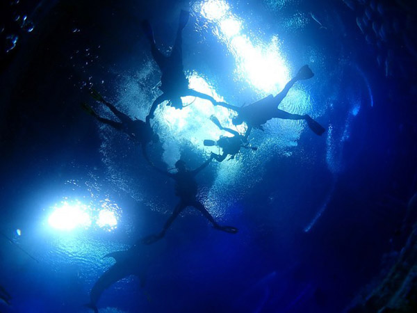 潛在水里，學(xué)做一條靜靜的魚(yú)