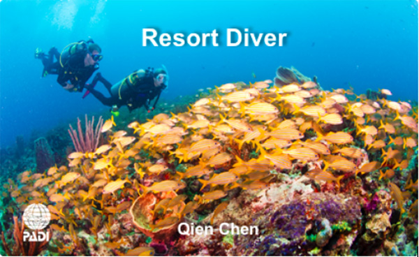 12/12正式上線！PADI 最新課程【休閑潛水員Resort Diver】 丨 一天拿證，潛遍全球