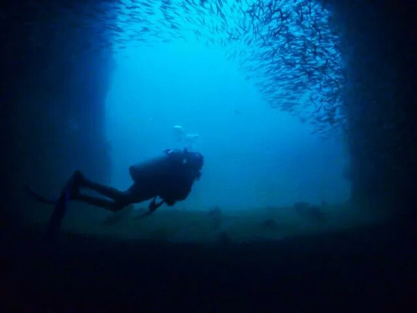 潛水拍照新姿勢，放下你的剪刀手，我們來這樣拍