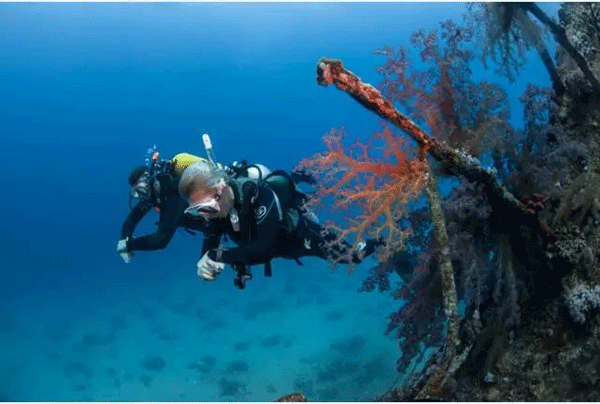 成為潛水員之前的你，是不是也問過這些問題？