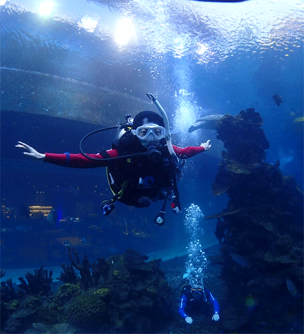 潛水常見(jiàn)問(wèn)題，原來(lái)潛水沒(méi)你想的那么難