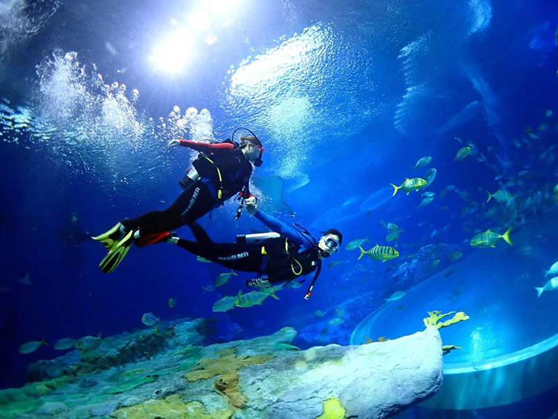 珠海長(zhǎng)隆海洋王國德國寶華壓縮機(jī)投入使用