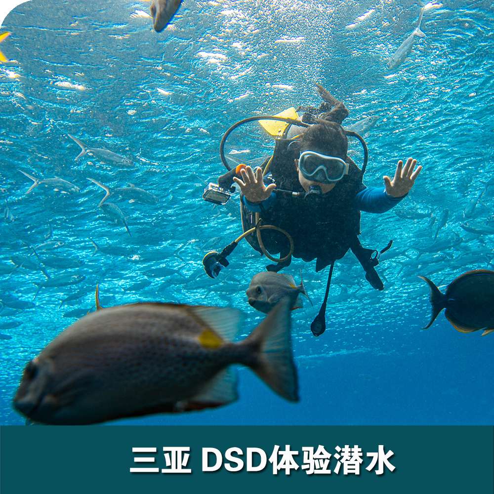 三亞洲際酒店DSD體驗潛水