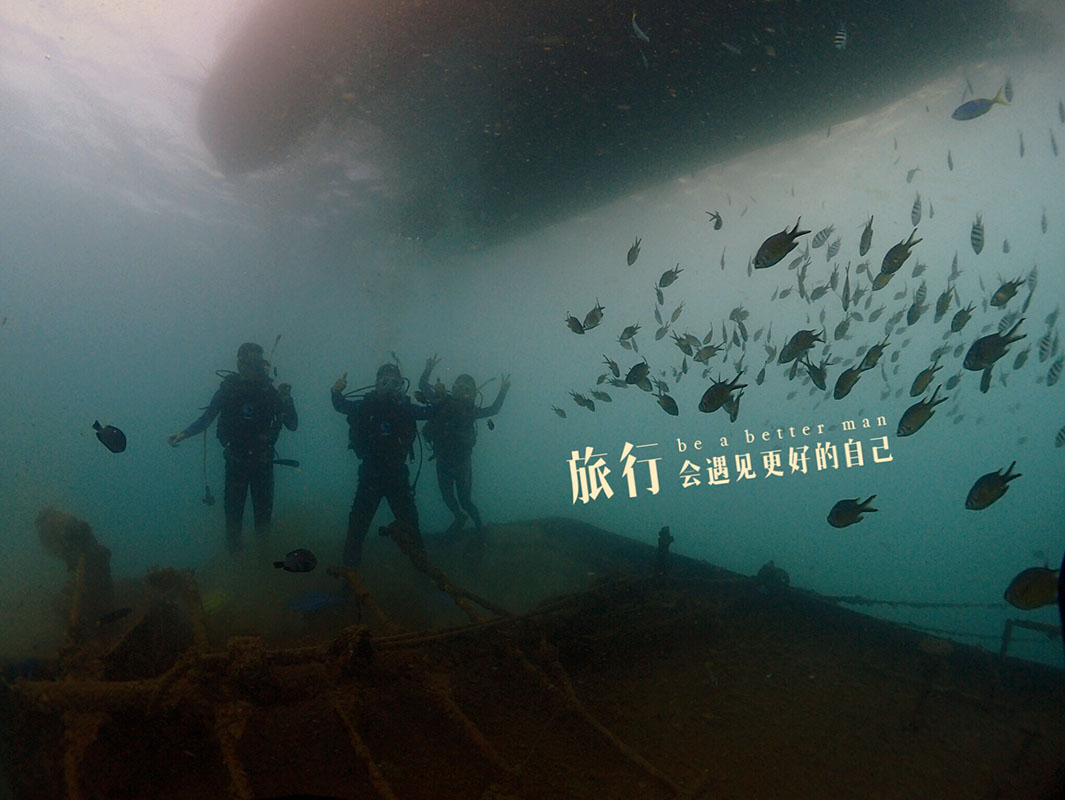 除了俯瞰大地的飛翔，還有潛入海底的翱翔。