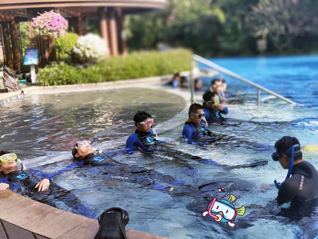 除了俯瞰大地的飛翔，還有潛入海底的翱翔。