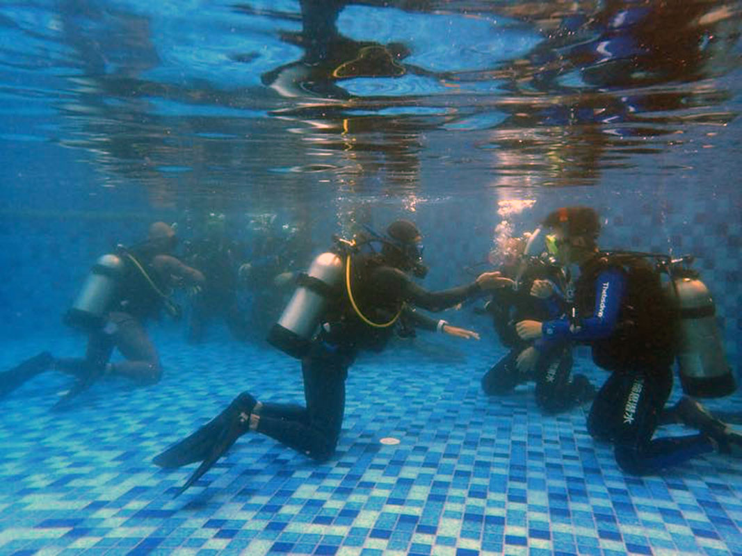 除了俯瞰大地的飛翔，還有潛入海底的翱翔。