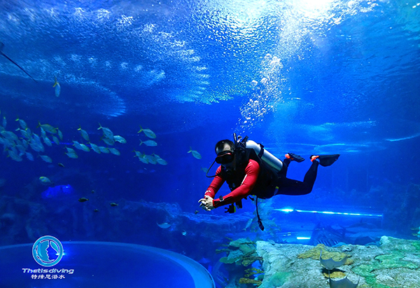 珠海長隆海洋王國啟動潛水項(xiàng)目運(yùn)營