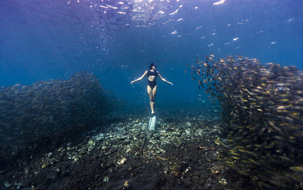 澳女子與魚群同游似美人魚